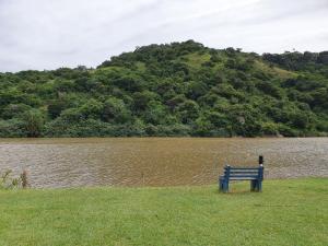 a blue bench sitting in the grass near a body of water at The Pont Home Owners in Port Edward