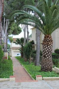 uma palmeira em frente a um edifício em A Chic Four-Person Apartment By The Beach At Cap Ras em Llançà