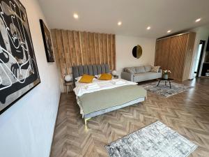 巴亞德菲耶爾的住宿－Transalpina Tiny House - outdoor jacuzzi，一间卧室配有一张床和一张沙发