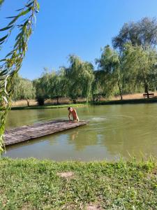 Un uomo in piedi su un molo in un fiume di Ciucea185 -Casa din Livadă a Ciucea