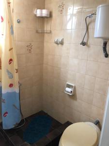 a bathroom with a toilet and a shower at THE CENTER in Xiropigado +4 photos