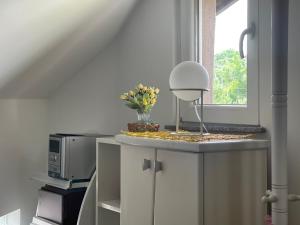 Kuchyň nebo kuchyňský kout v ubytování APARTMAN Pahuljica + 13 fotografií