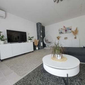 TV a/nebo společenská místnost v ubytování Villa Rita