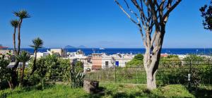 vistas a una ciudad con edificios y al océano en La Zagara Hotel en Lipari