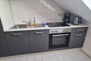a small kitchen with a sink and a stove at Ganze 2-Raum Ferienwohnung Links in Jahnatal +3 photos