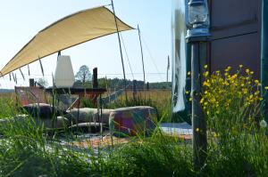 a table and chairs in a field of grass at Dzika Jurta na Łebkach in Łebki