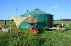 a green tent in a field with a chair in the grass at Dzika Jurta na Łebkach in Łebki
