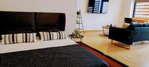 Телевизия и/или развлекателен център в Comfortable studio