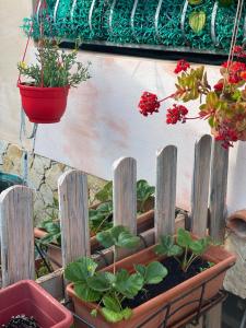 A garden outside A casa di Oba, a pochi minuti dal mare (IUN P9041)