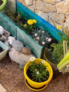 A garden outside A casa di Oba, a pochi minuti dal mare (IUN P9041)