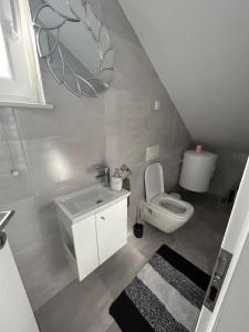 a bathroom with a toilet and a sink and a mirror at Apartman Petra in Vir +17 photos