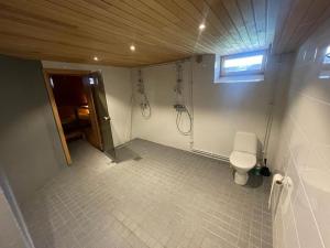 een badkamer met een douche en een toilet bij Napapiirin Eräkartano in Pello