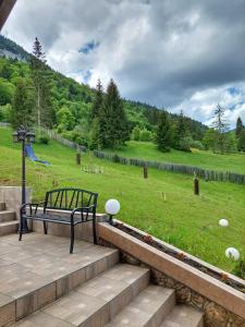 a bench sitting on a patio with a field of grass at Pensiunea Hășmaș in Lacu Rosu