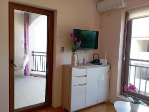 TV a/nebo společenská místnost v ubytování Apartment Lila