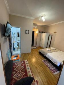 um quarto com uma cama, uma televisão e uma casa de banho em Viktoriahotel em Tbilisi