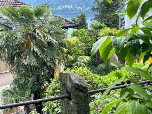 Elle offre une vue sur un jardin planté d'arbres et de buissons. dans l'établissement Rustico Porta, à Brissago