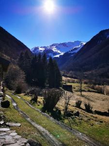 a dirt road in a field with mountains in the background at Le Nid de Laly in Ustou