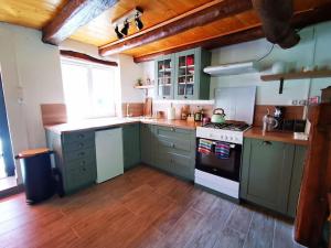 a kitchen with green cabinets and a stove top oven at Le Nid de Laly in Ustou