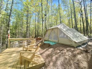 a tent on a wooden deck in the woods at Sailor Springs Glamping in Bayfield
