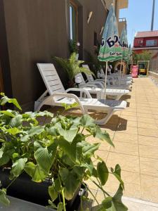 a row of chairs and plants on a patio at Tabanov Beach Hotel in Sozopol