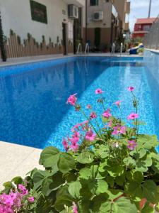 a blue swimming pool with pink flowers in front of it at Tabanov Beach Hotel in Sozopol