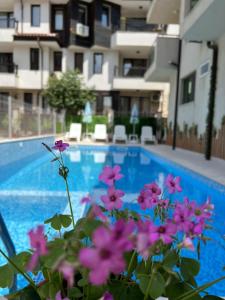 a plant with pink flowers in front of a swimming pool at Tabanov Beach Hotel in Sozopol