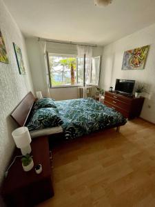 1 dormitorio con 1 cama, TV y ventana en P&K, en Rijeka