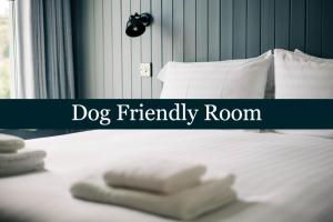 a dog friendly room with towels on a bed at Bryn Berwyn Country House Tresaith in Penbryn