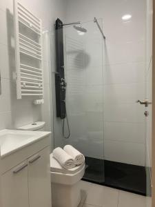a white bathroom with a shower and a toilet at Atocha Reina Sofia in Madrid