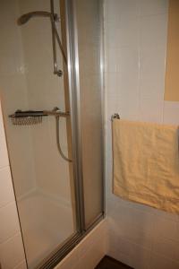 a shower with a glass door and a towel at Felsenland-Apartment in Ludwigswinkel