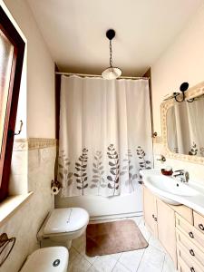 a bathroom with a shower curtain and a toilet and a sink at Il ritrovo delle Volpi in Agerola