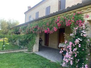 Zahrada ubytování Guest House Vagamondo