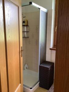 um chuveiro com uma porta de vidro na casa de banho em Passione Dolomiti em Romeno