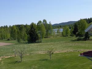 un champ ouvert avec deux arbres dans l'herbe dans l'établissement Lägenhet på landet, à Torsby