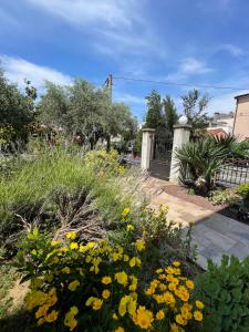 a garden with yellow flowers and a fence at Apartment Sotlar in Izola