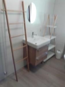 a bathroom with a sink and a mirror at gemütliche Ferienwohnung in Zandt