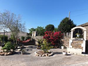 un jardín con plantas y flores en un patio en ANAMAR, en Lugo