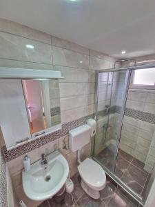 ein Bad mit einem WC, einem Waschbecken und einer Dusche in der Unterkunft Apartman Cvetkovic in Vranje