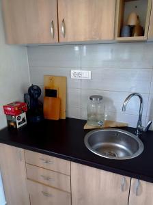 a kitchen with a sink and a counter top at Vikendica Smokvica in Sremski Karlovci