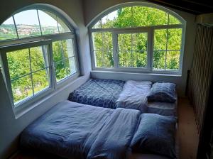 a bedroom with two beds and two windows at Vikendica Smokvica in Sremski Karlovci