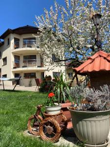 Сад в Casa Ana Cluj