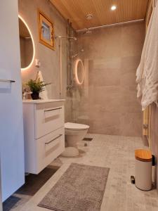 a bathroom with a toilet and a shower at Kivikatu Apartment in Rovaniemi