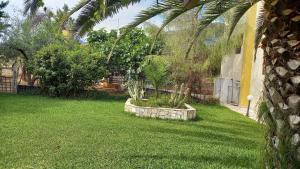 Zahrada ubytování Villa MARGIANI