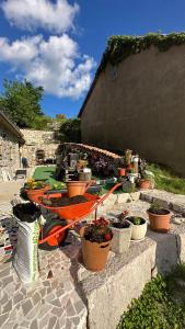 Um jardim em Rustic house Pojata