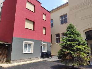 Zagreb Creative Apartments APP 1 في زغرب: مبنى ملون أمامه شجرة عيد الميلاد