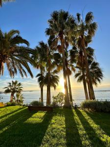 a park with palm trees and a bench in front of the ocean at TOP Benalmadena in Benalmádena