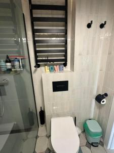 un piccolo bagno con servizi igienici e doccia di Apartament na Wzgórzu Miętowy a Łańcut