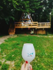 Zahrada ubytování CabanaAframe intreaga proprietate