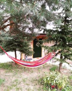 a red hammock hanging from a tree in front of a house at Domki na Górniej Łące - Domek Górny in Łazany