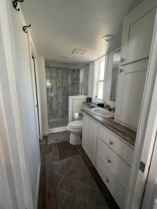 a white bathroom with a toilet and a sink at Fox Hollow - Tiny home with Cypress Creek access, park like setting in Wimberley